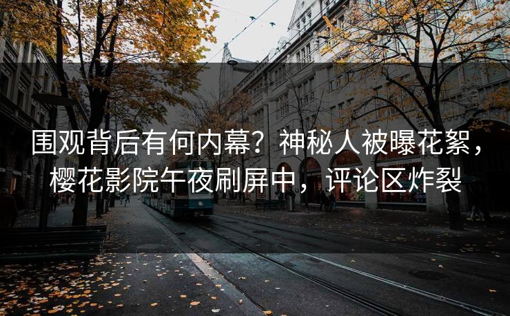 围观背后有何内幕？神秘人被曝花絮，樱花影院午夜刷屏中，评论区炸裂