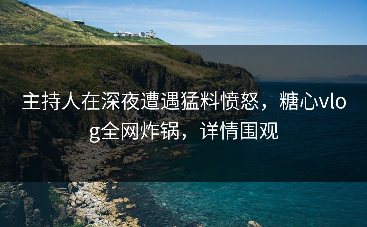 主持人在深夜遭遇猛料愤怒，糖心vlog全网炸锅，详情围观